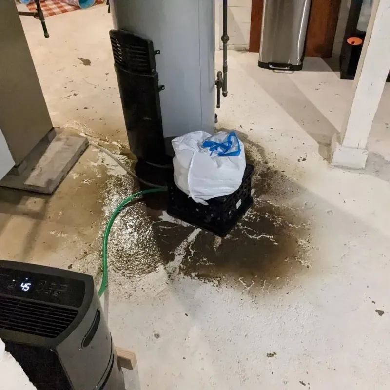 Sewage Backup Cleanup Service in Mount Sterling, KY